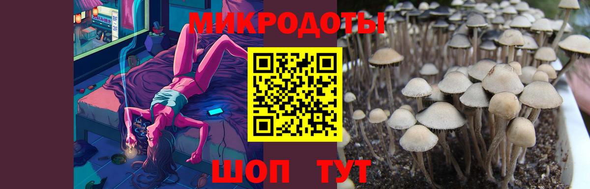 Псилоцибиновые грибы MAGIC MUSHROOMS  Вход с VPN  Сухой Лог 